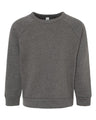 Toddler Sponge Fleece Raglan Crewneck Sweatshirt